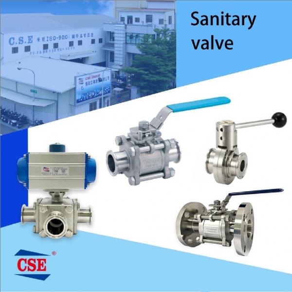 Sanitary Vavle